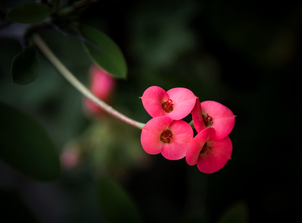 “IMG_1519”为智能对象-1.jpg