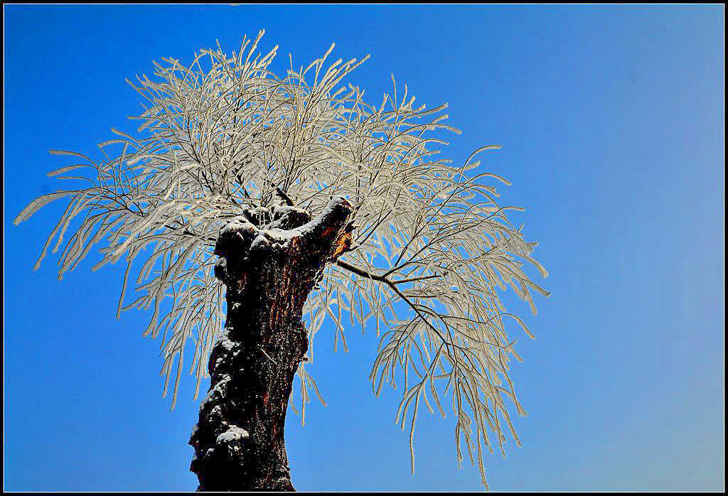 DSC_5296_副本.jpg.thumb.jpg