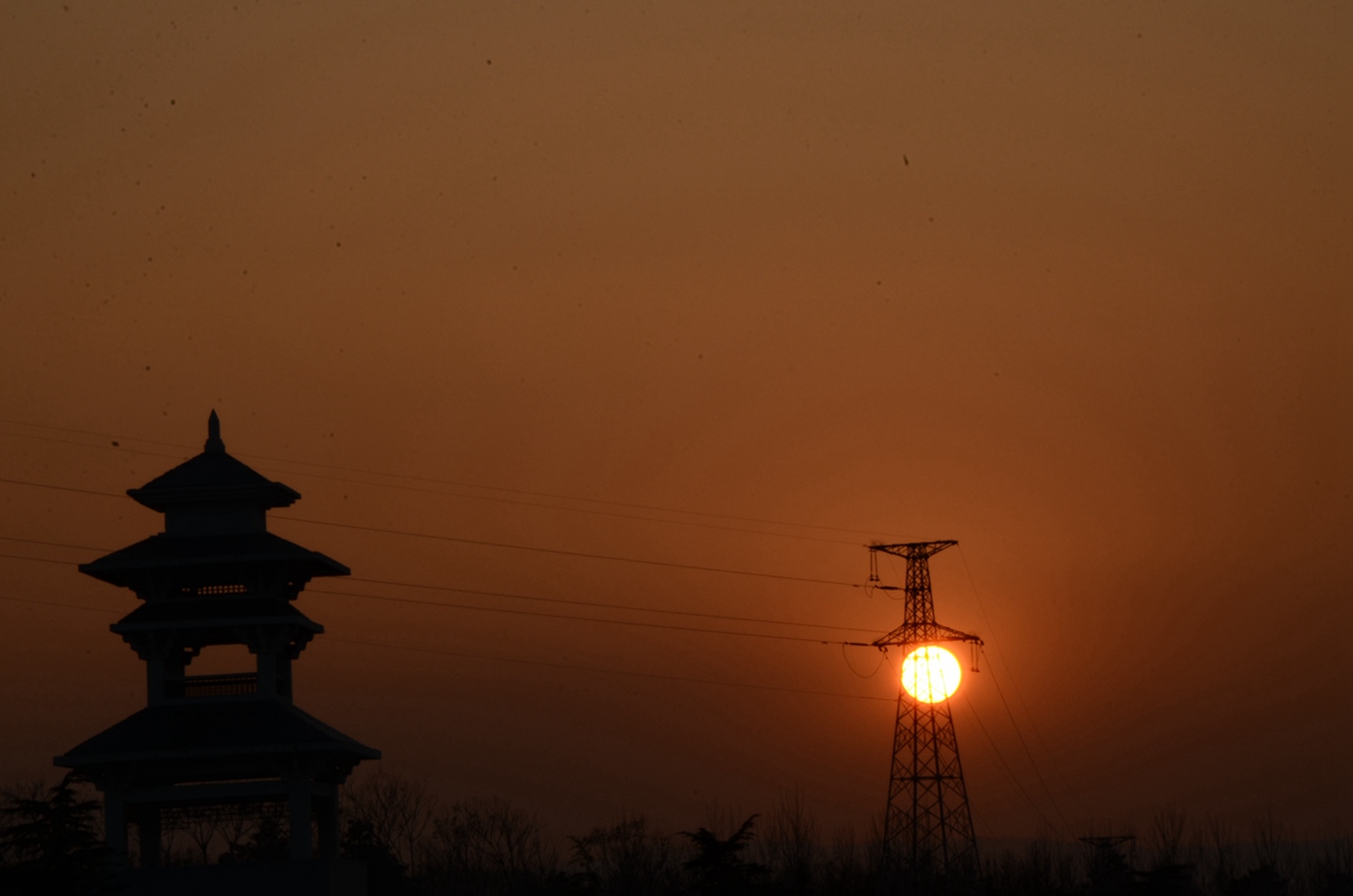 DSC_7370.JPG