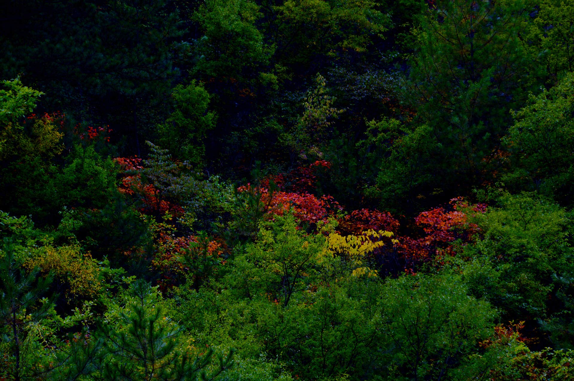 DSC_087.JPG