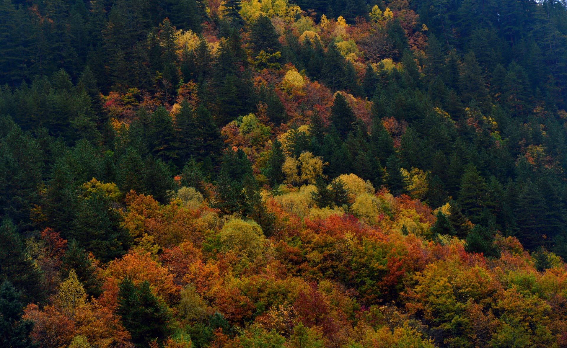DSC_0092.JPG