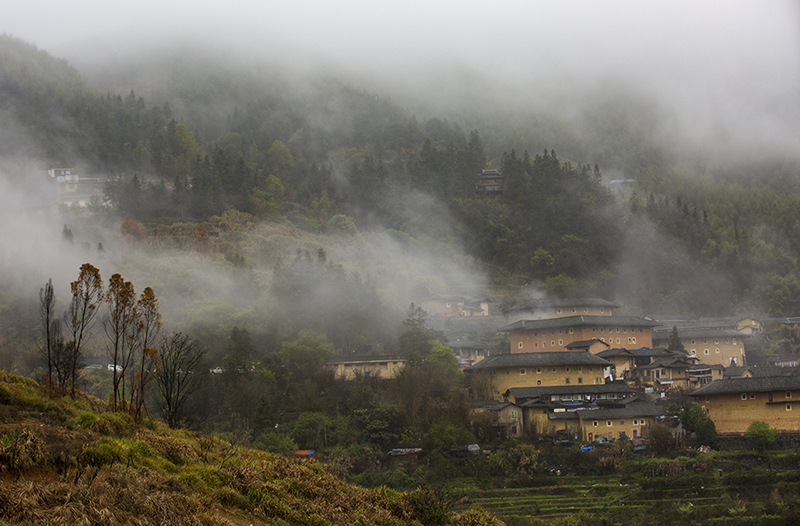 _T0A6648-1.jpg