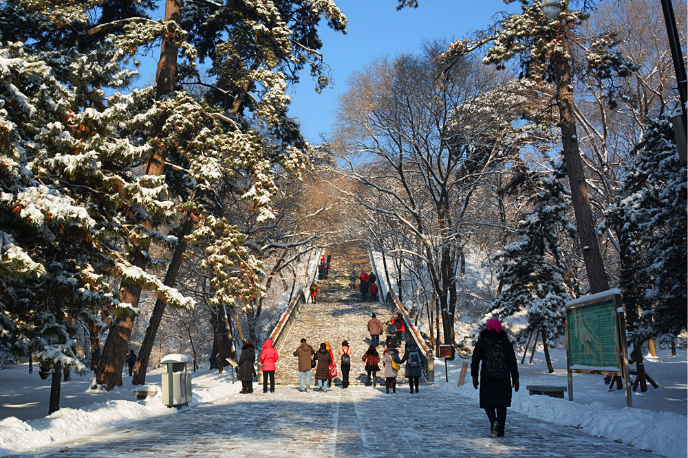 东陵雪景 (1).jpg