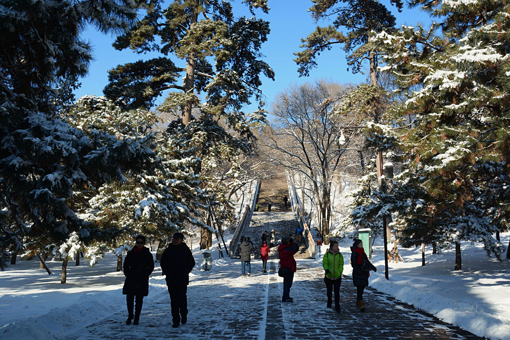 东陵雪景 (8).jpg