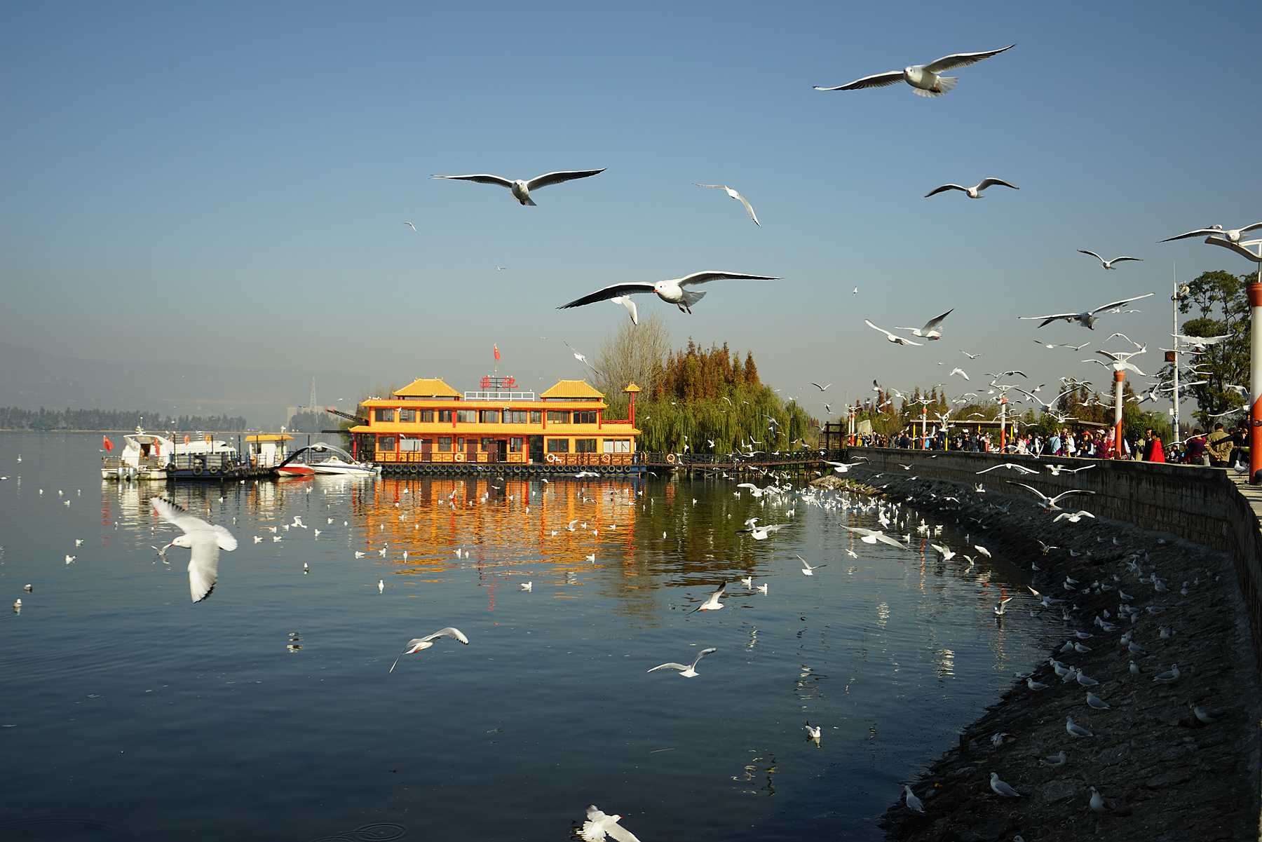 DSC04672_副本.jpg