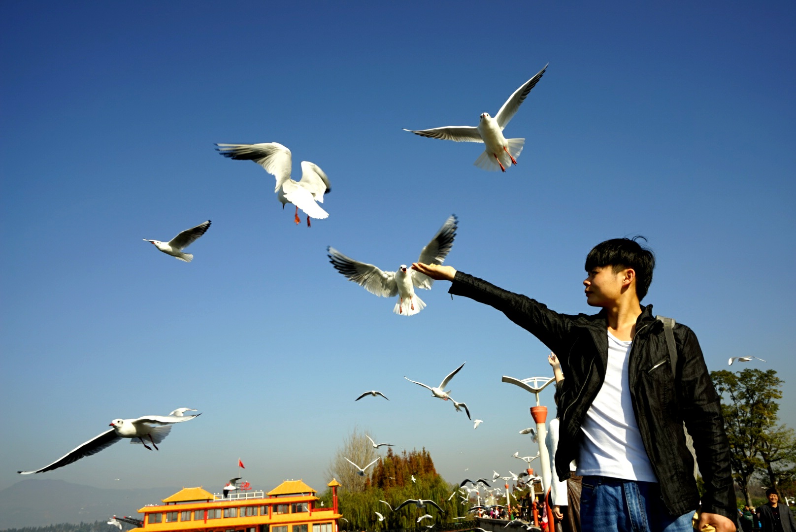 DSC04764_副本.jpg