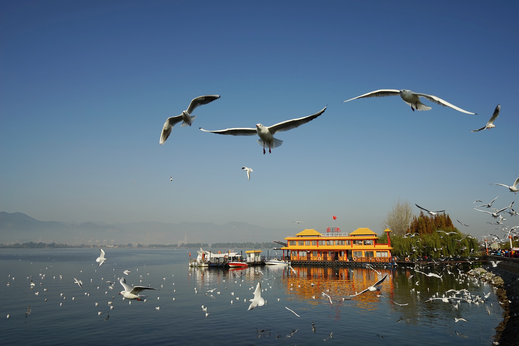 DSC04867_副本.jpg