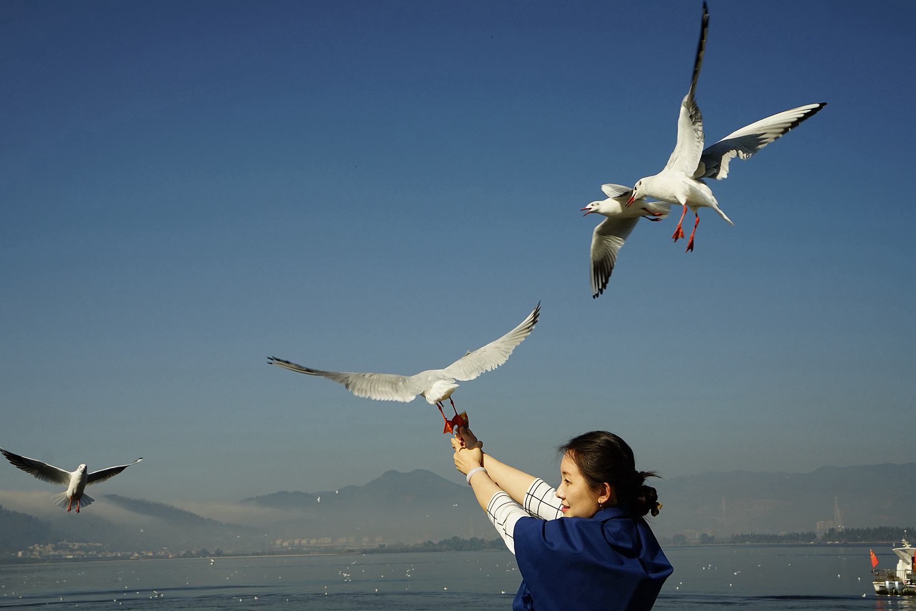 DSC04948_副本.jpg
