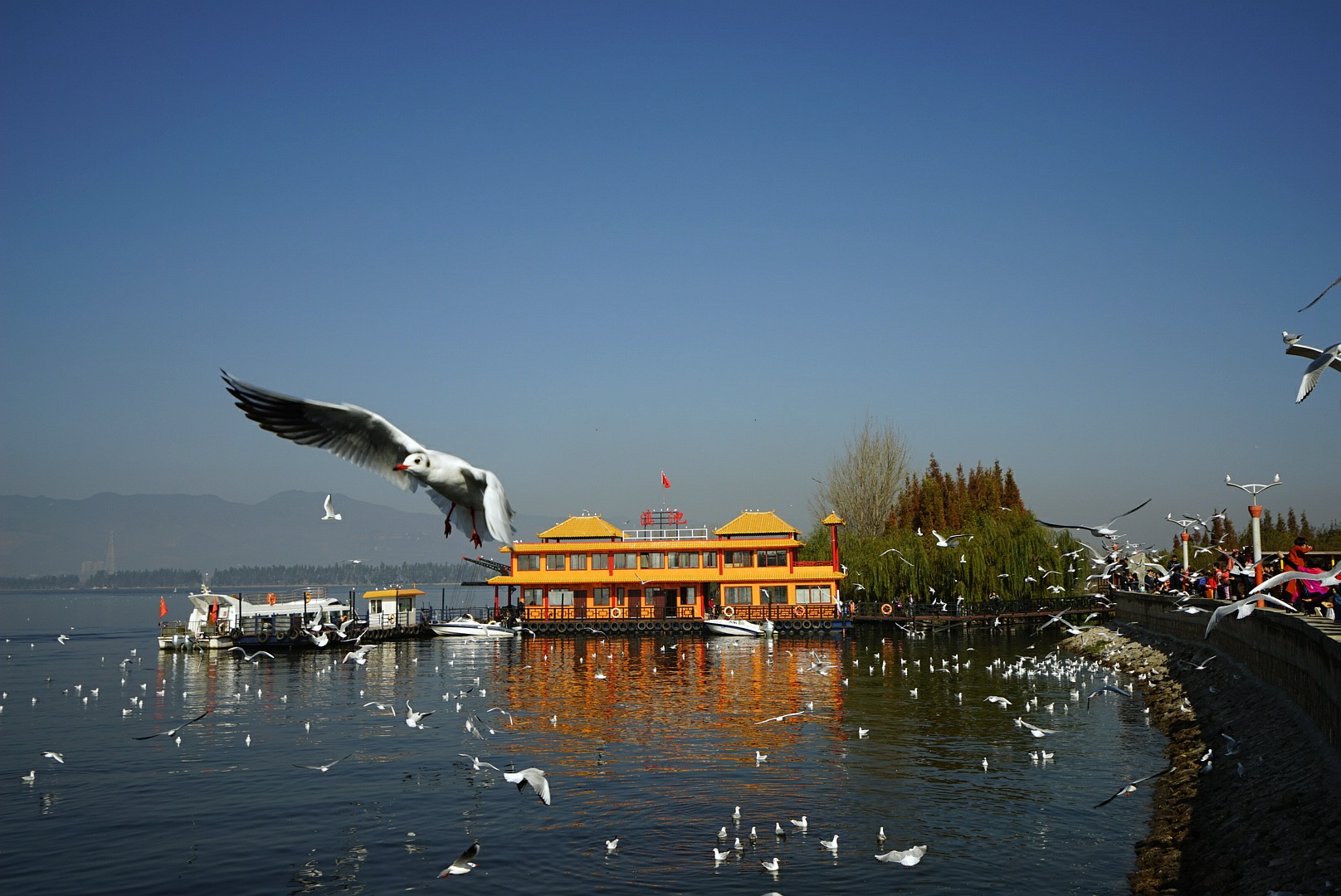 DSC04970_副本.jpg