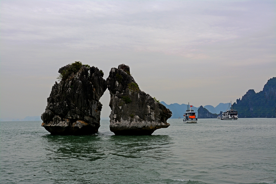 DSC_7483.jpg