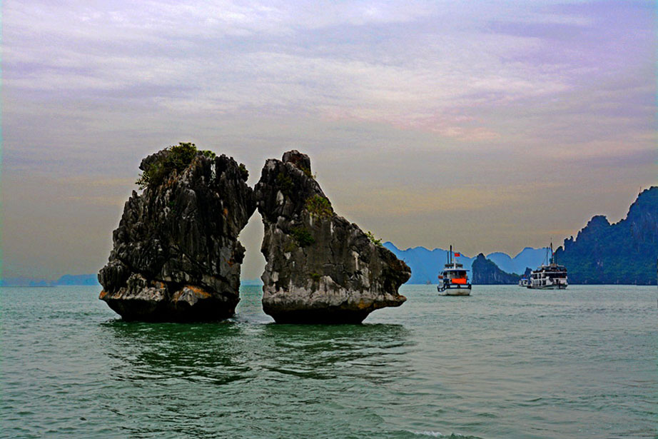 DSC_7483_jpg_thumb.jpg