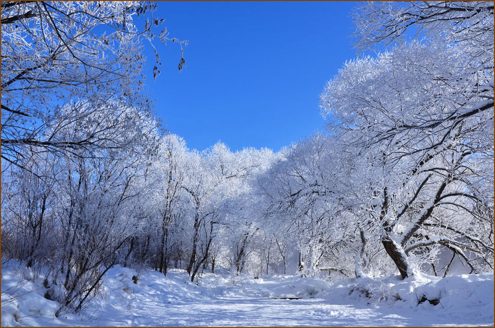 DSC_4793x.jpg