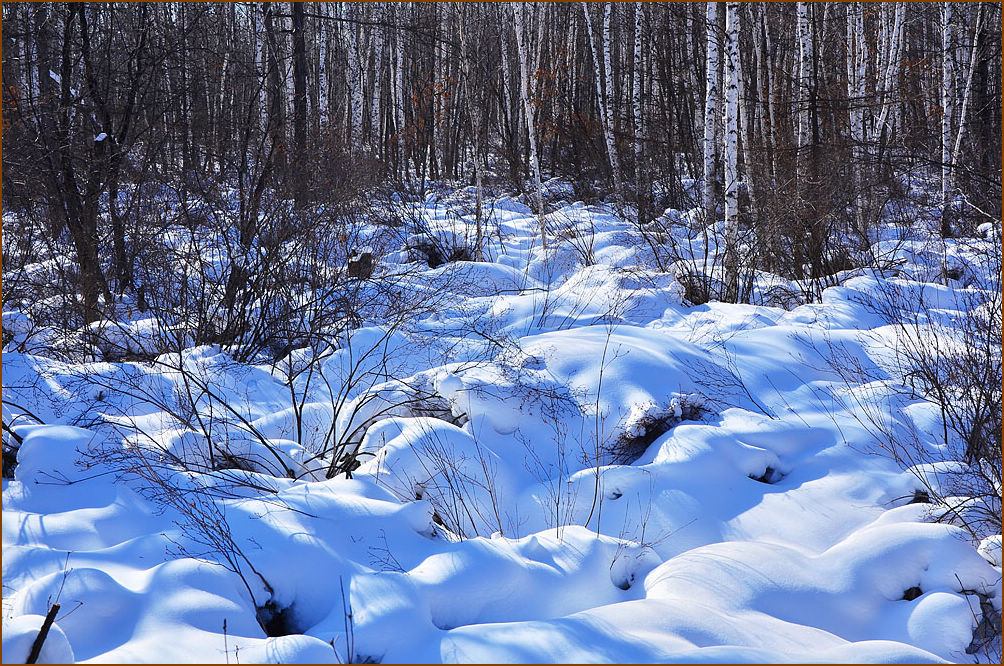 DSC_4823x.jpg