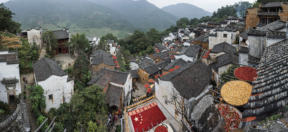未标题_全景图a11.jpg