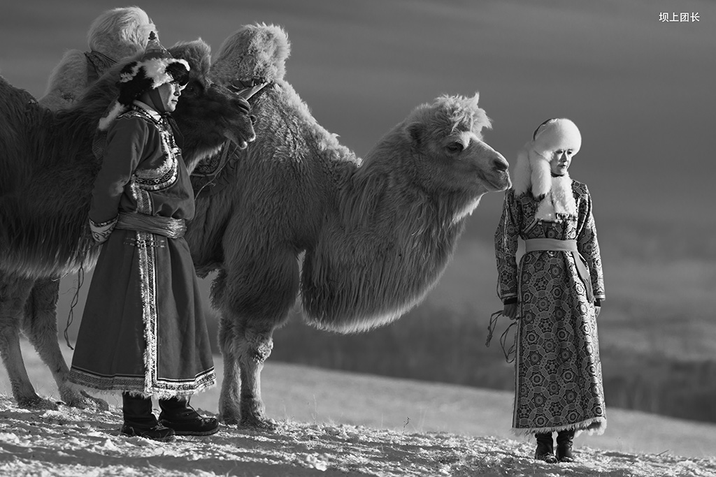 _T2Y0708-1-1.jpg