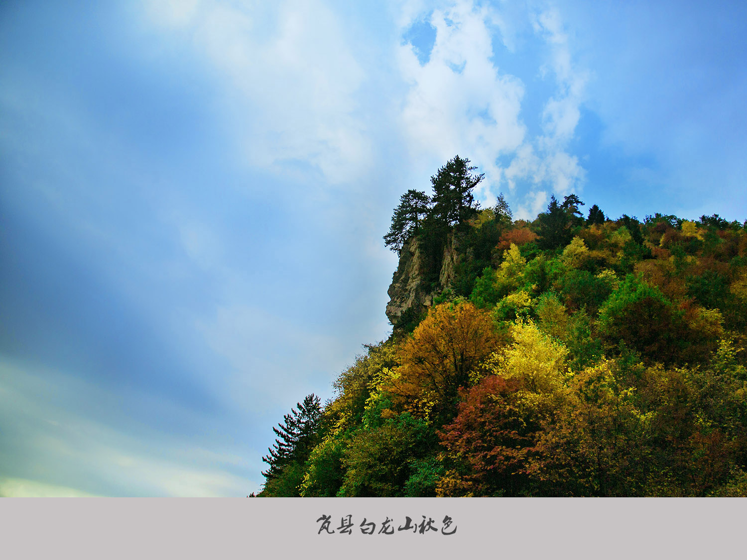 348B9660.jpg-1.jpg