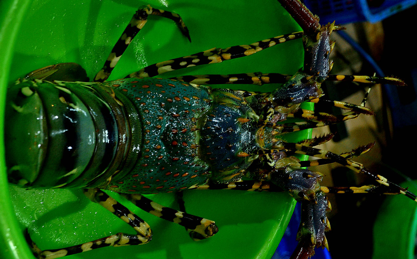 DSC_9701.jpg