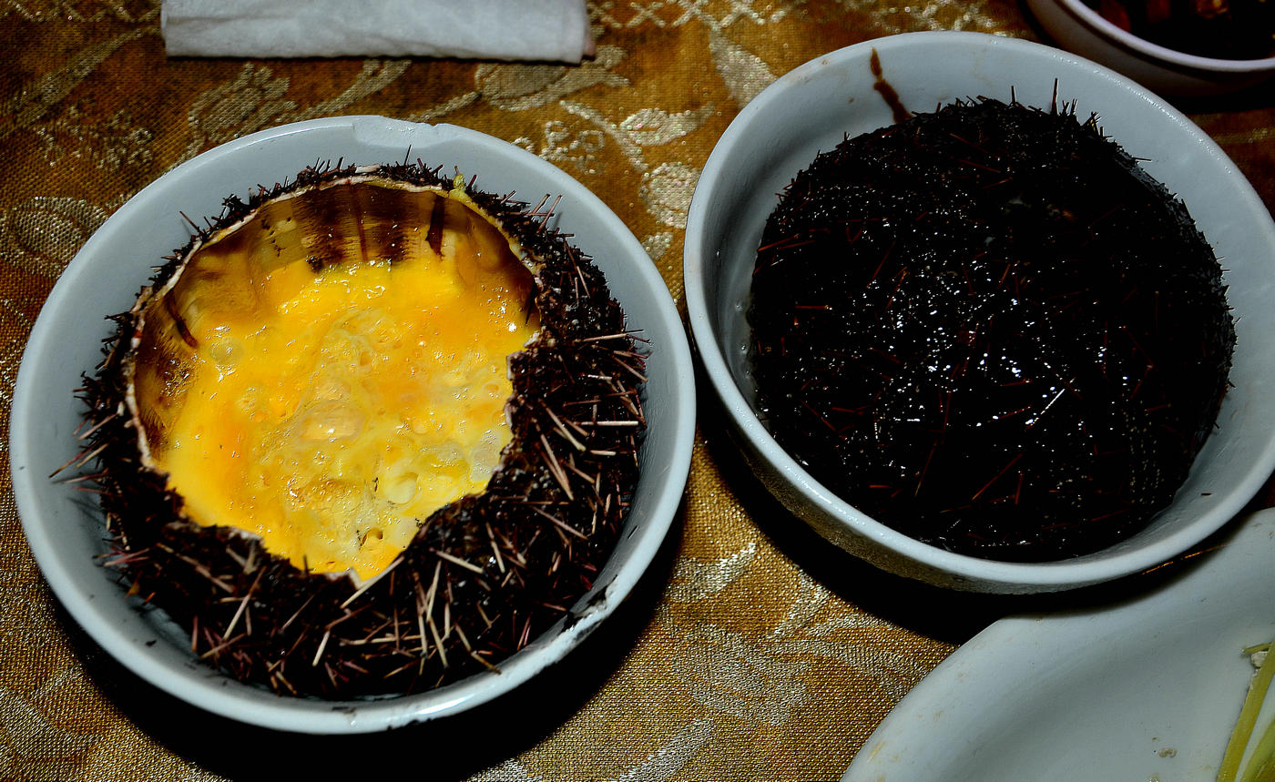 DSC_9690.jpg