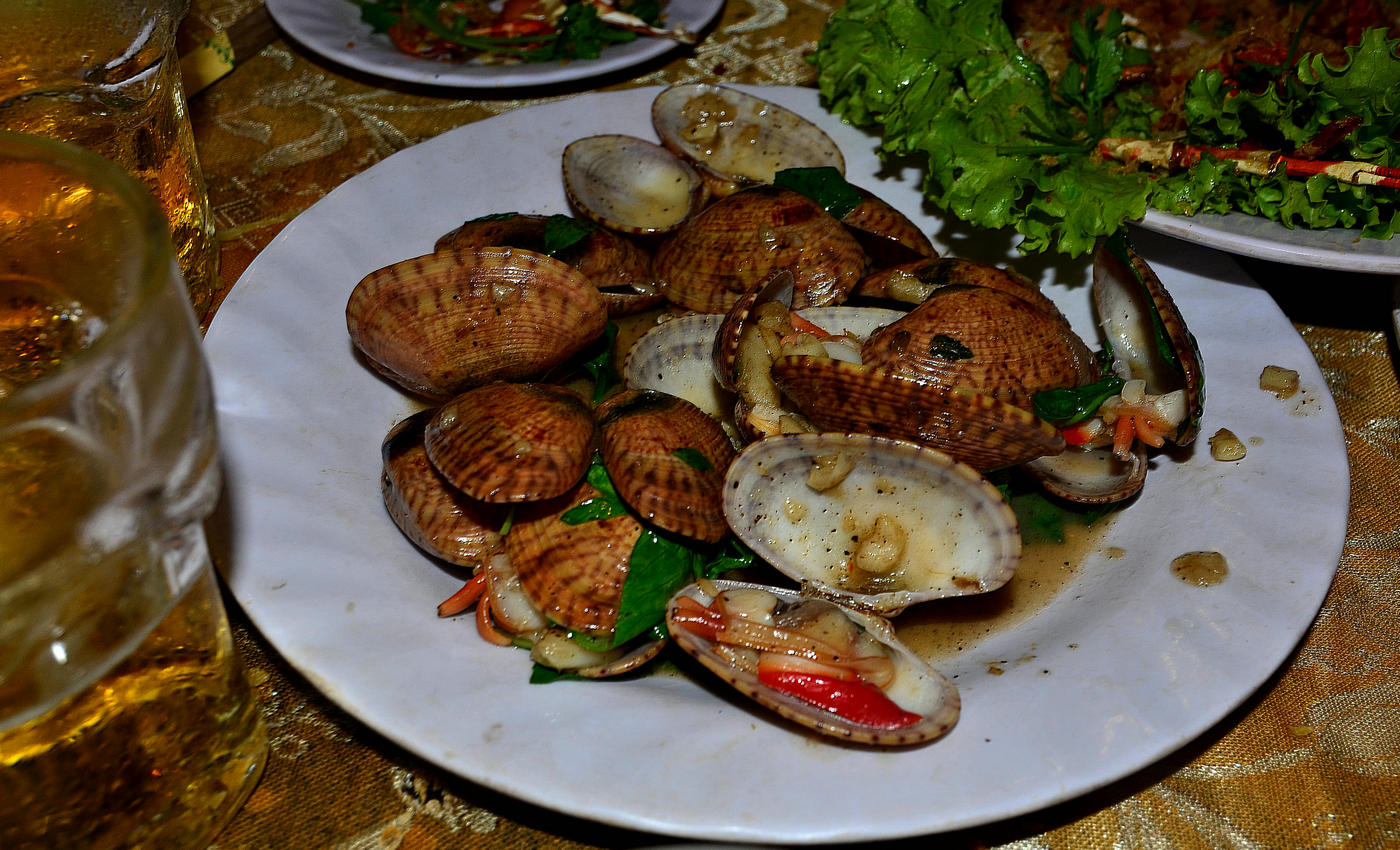DSC_9694.jpg