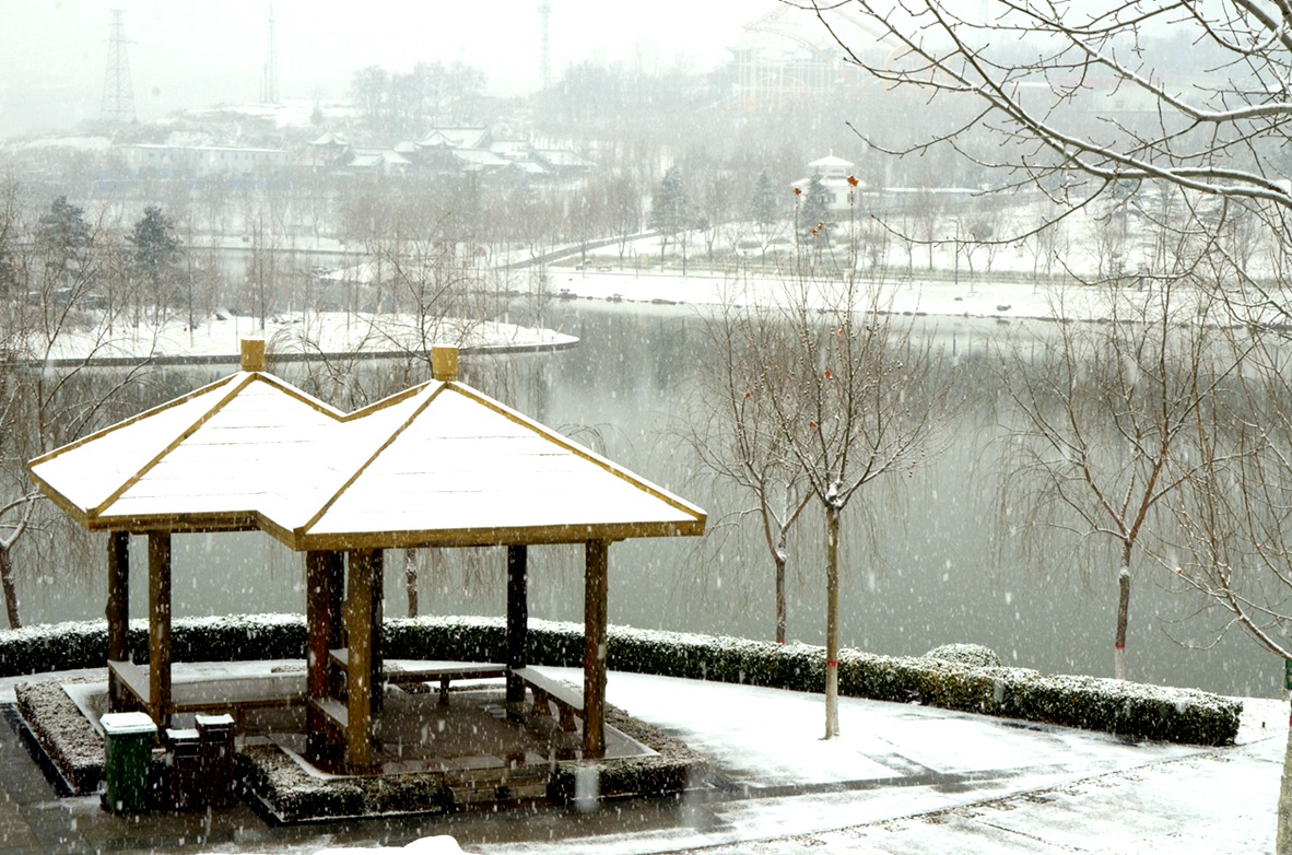 DSC_7620.JPG