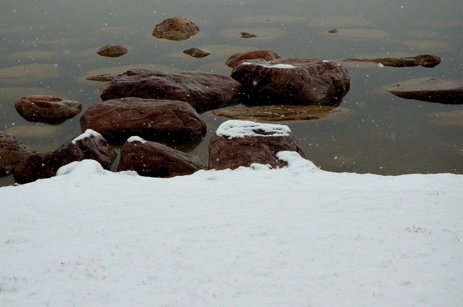 DSC_7647.JPG