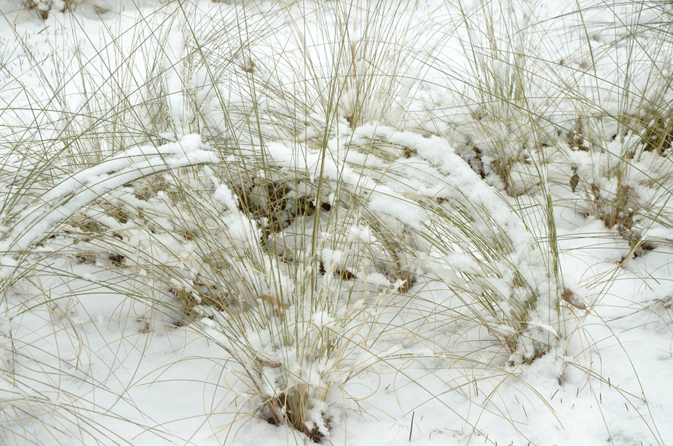 DSC_7644.JPG