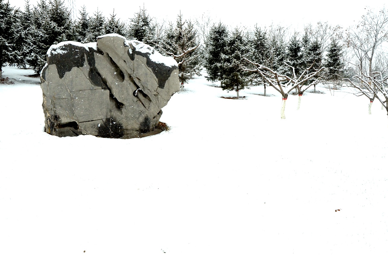 DSC_7656.JPG