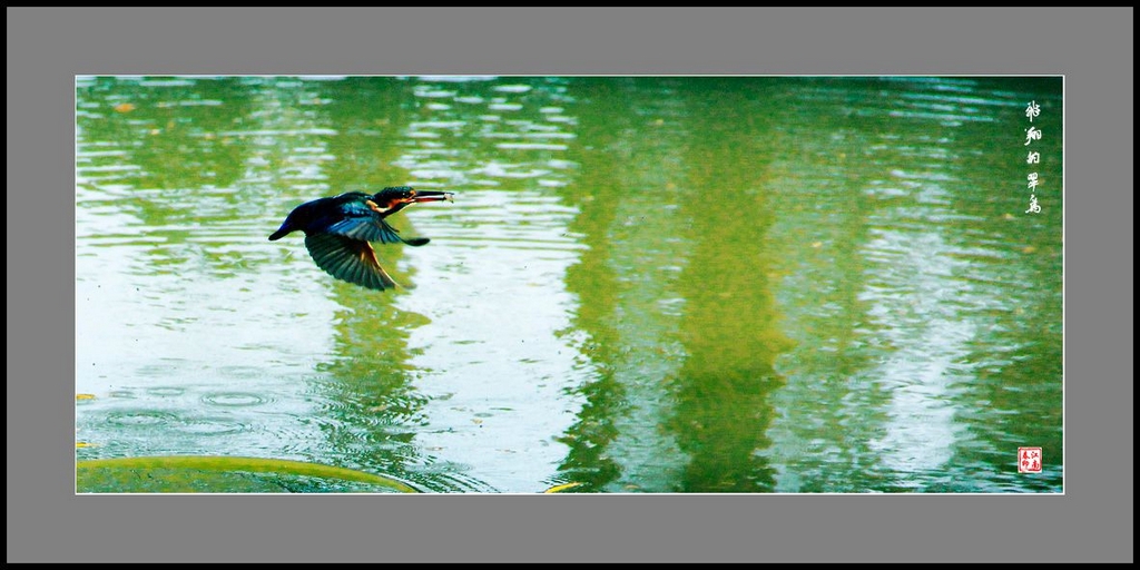 024_conew1.jpg