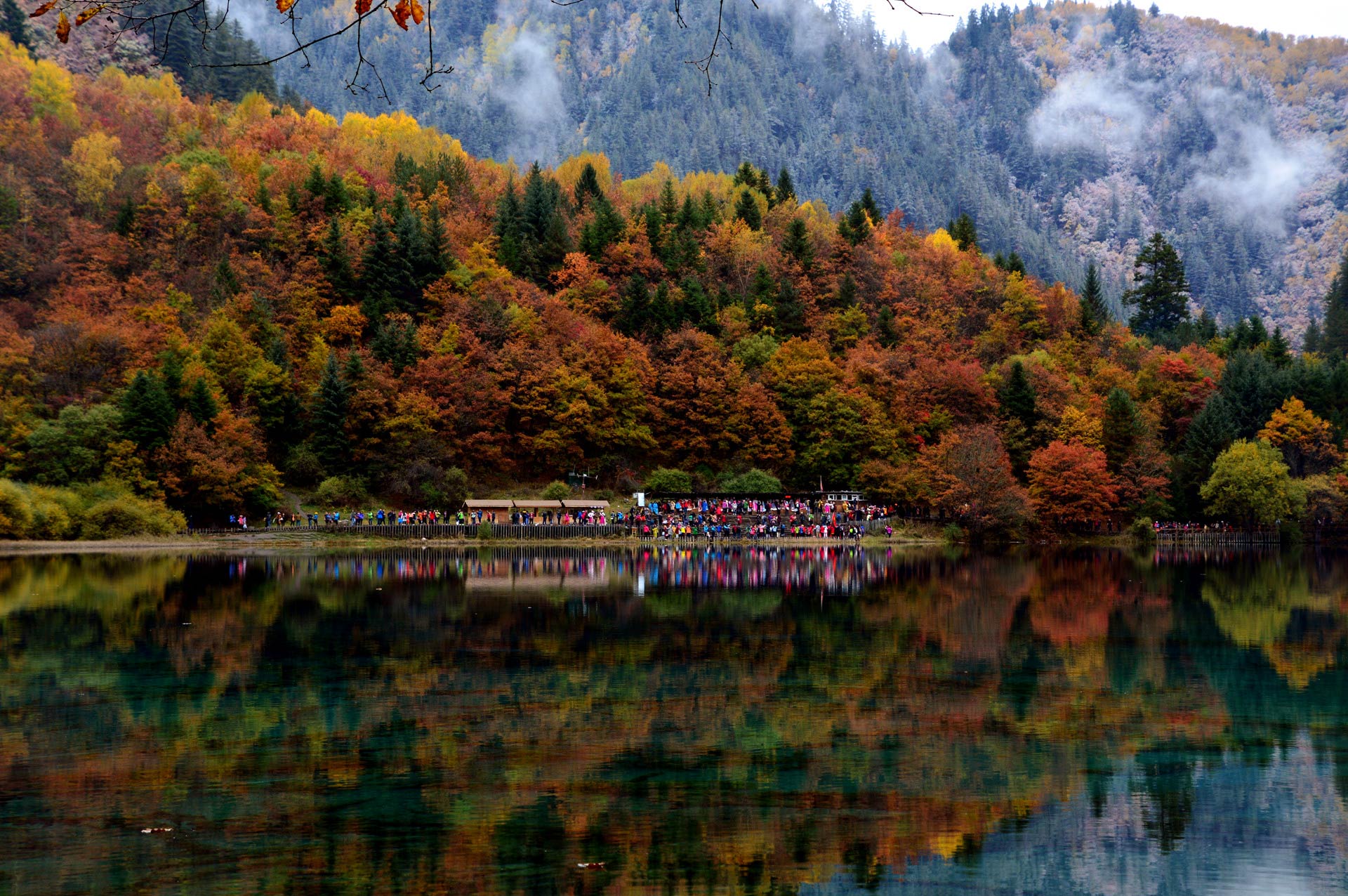 DSC_0237.JPG