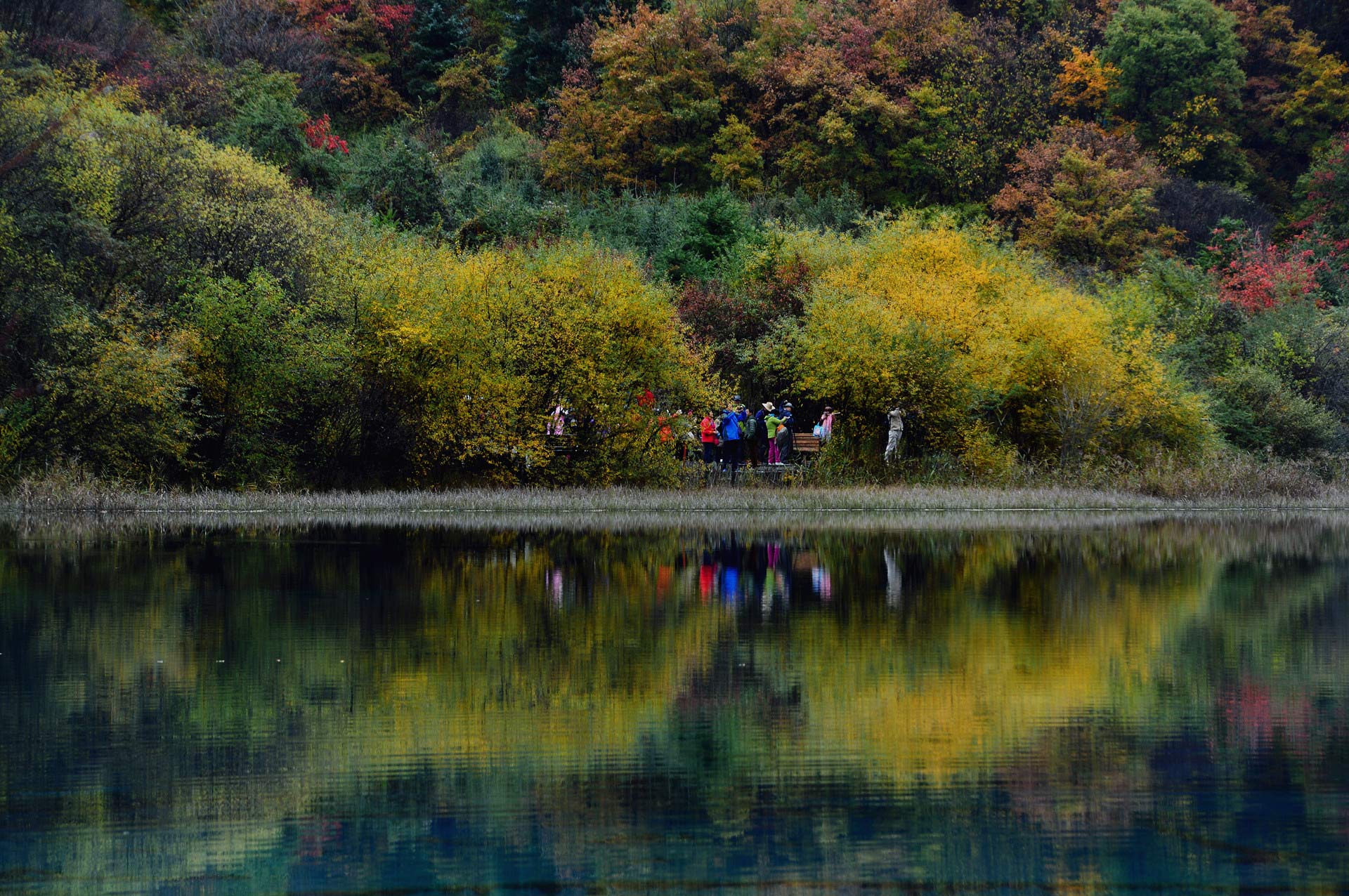 DSC_0225.JPG