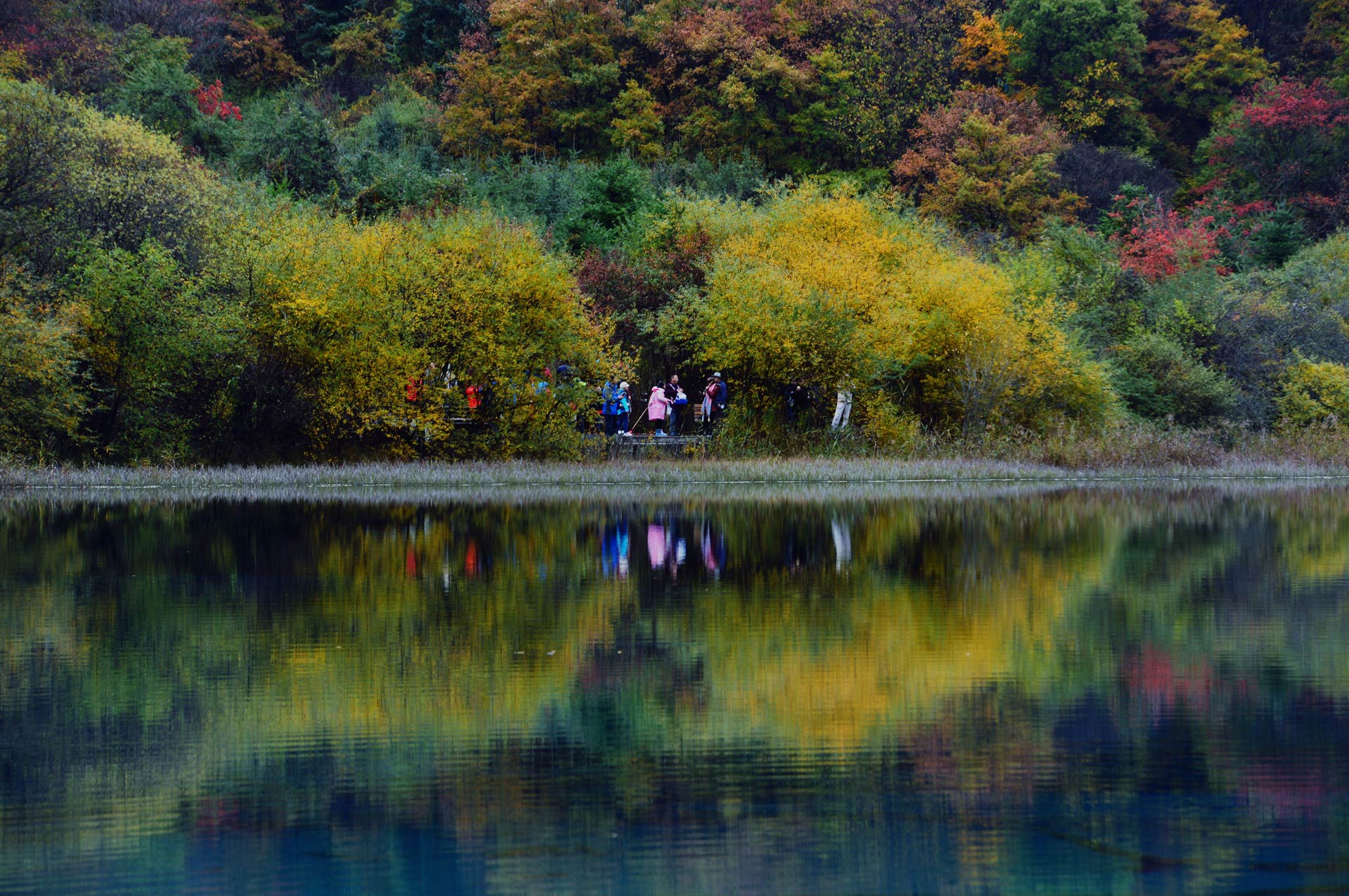 DSC_0232.JPG