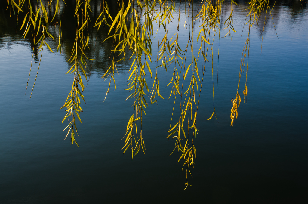 DSC_8855_副本.jpg