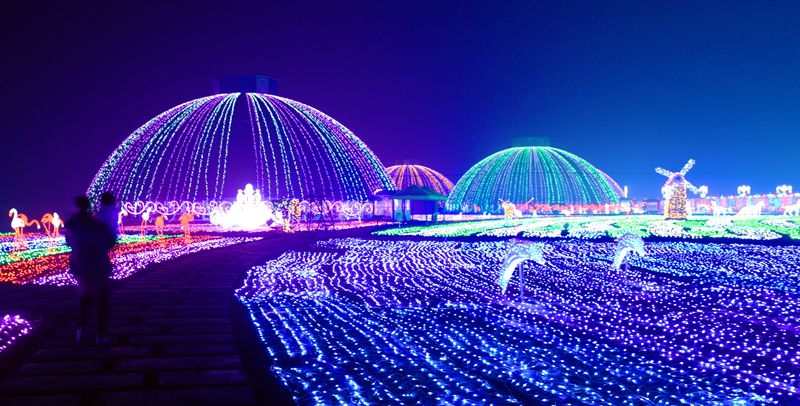 DSC_2909.jpg