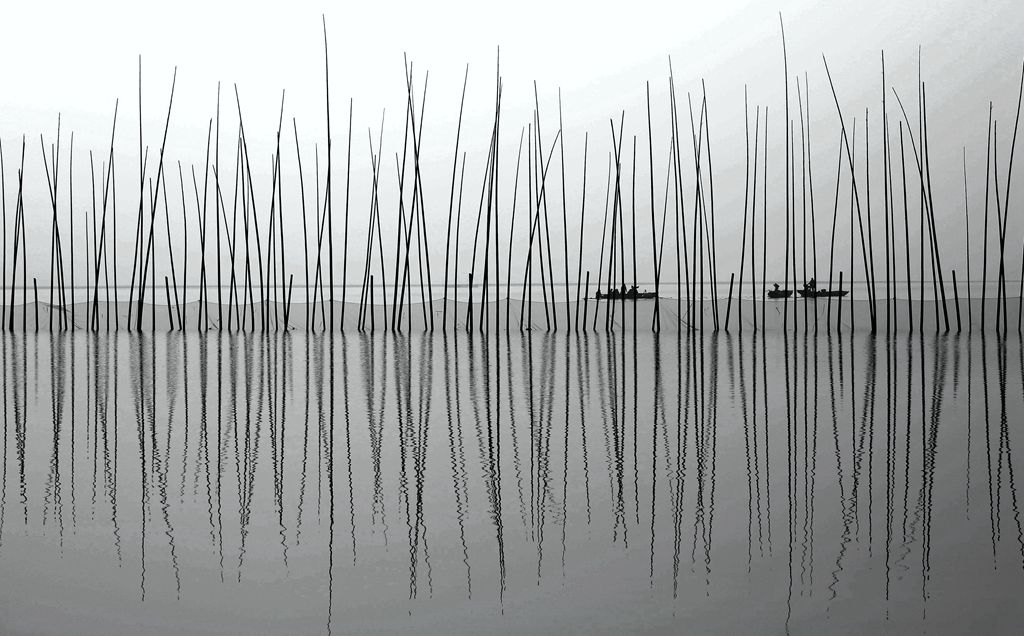 安庆菜子湖国家湿地公园3.jpg