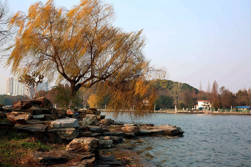 春光苑冬景05.jpg