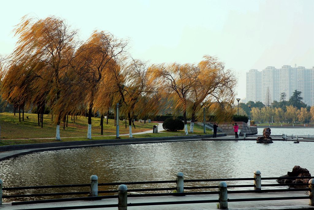 春光苑冬景07.jpg