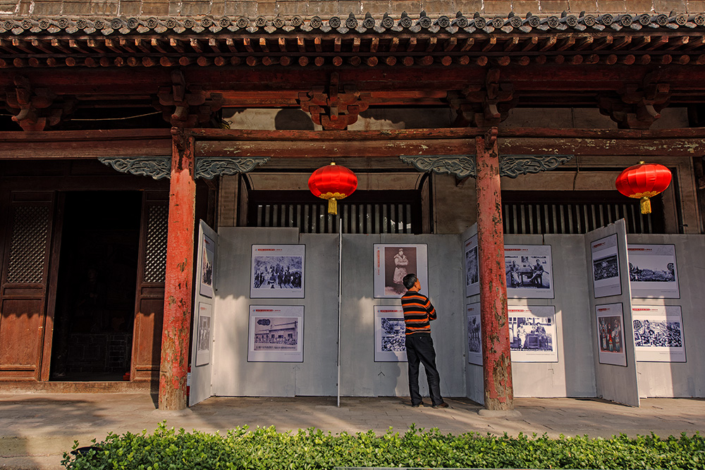 DSC_a69521.jpg