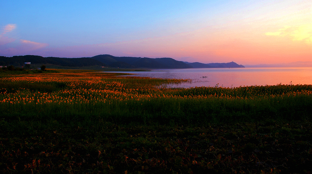 DSC_0091_副本_副本.jpg