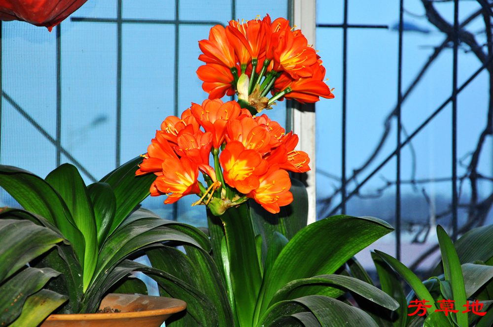 1=DSC_1702.jpg