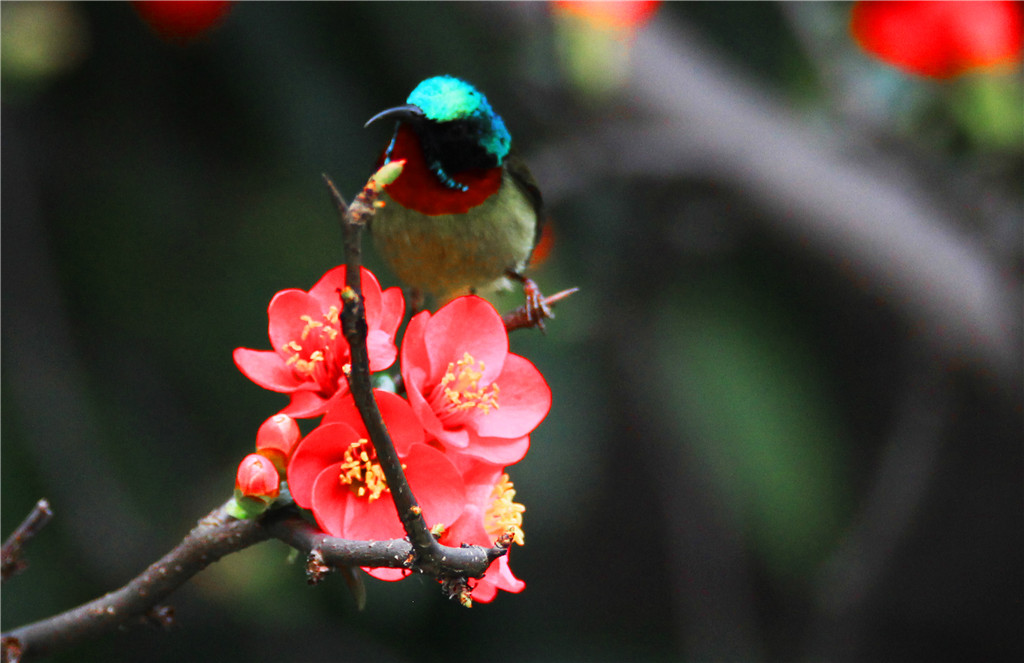 IMG_6962-2_副本.jpg