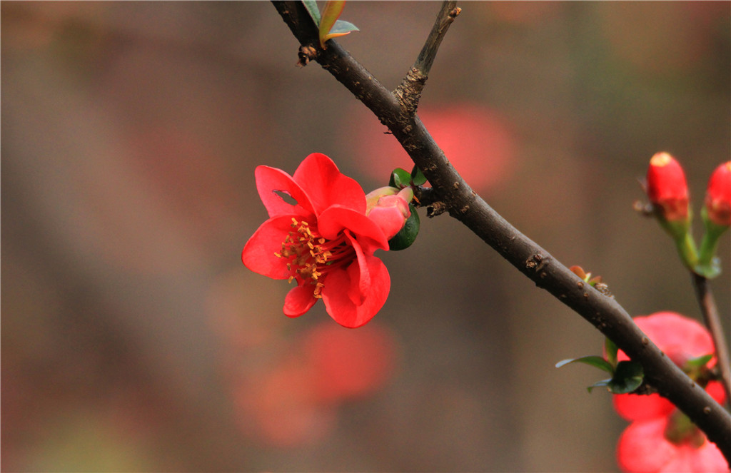 IMG_6158-2_副本.jpg