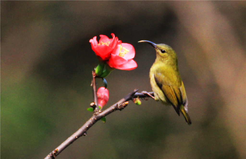 IMG_6342-2_副本.jpg