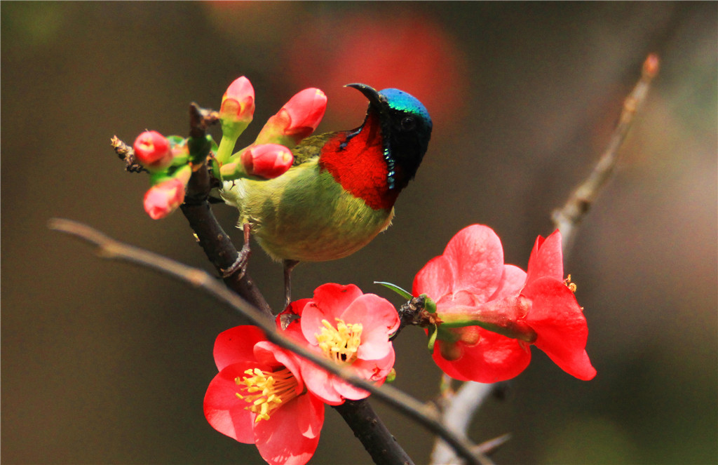 IMG_6457-2_副本.jpg