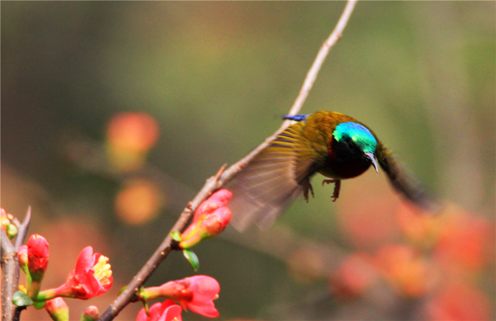 IMG_6489-2_副本.jpg