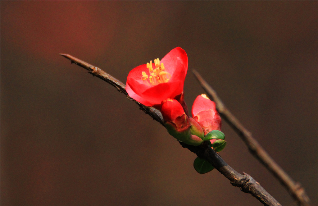 IMG_6592-2_副本.jpg