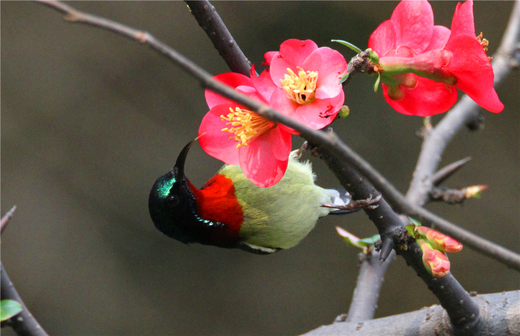 IMG_6673-2_副本.jpg