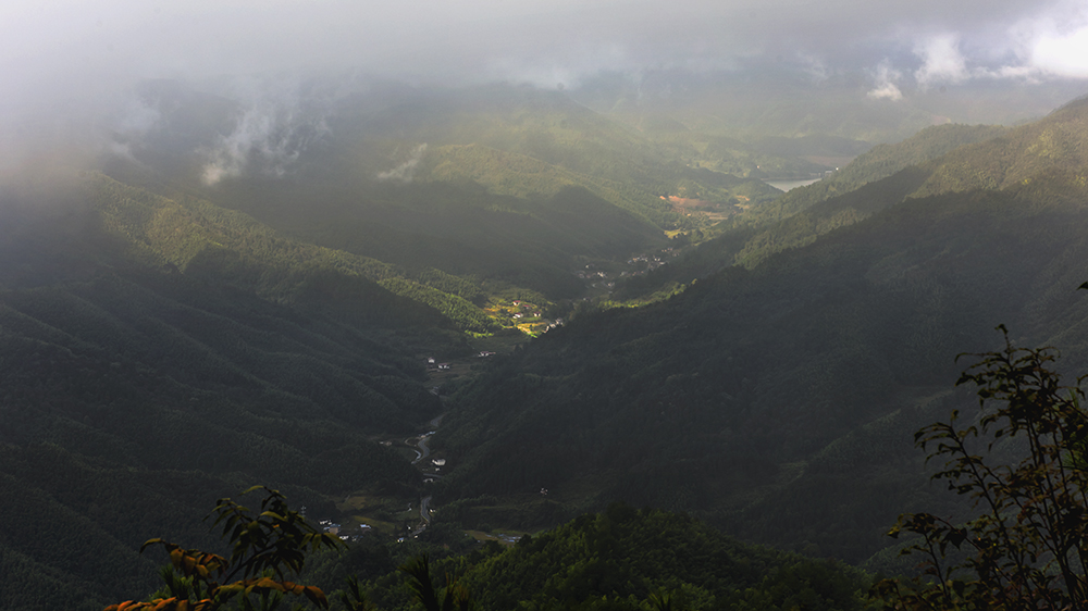 DSC_a05481.jpg