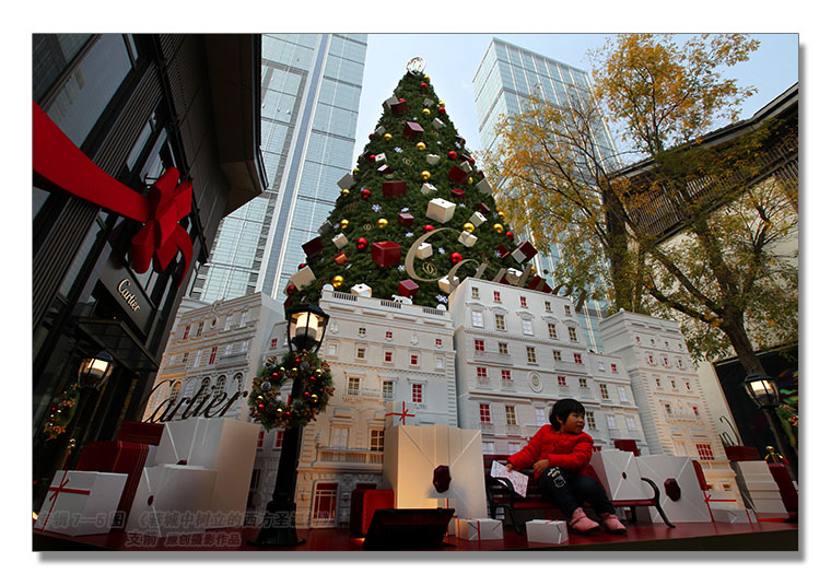 文艺专辑7--5图-2《蓉城中树立的西方圣诞树》---支箭-独创用杆撑相机摄于成都.jpg