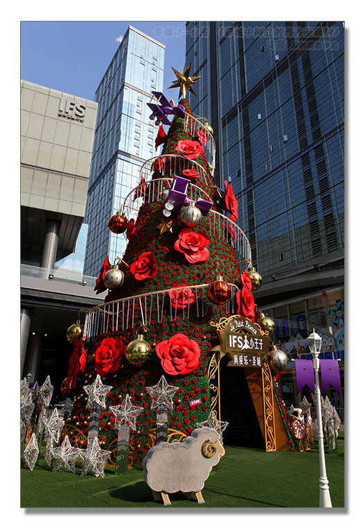 文艺专辑7--5图-3《蓉城中树立的西方圣诞树》---支箭-独创用杆撑相机摄于成都.jpg