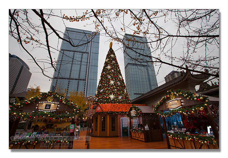 文艺专辑7--5图-5《蓉城中树立的西方圣诞树》---支箭-独创用杆撑相机摄于成都.jpg